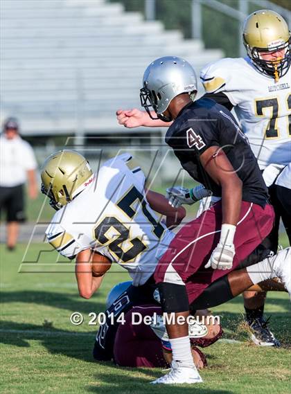Thumbnail 2 in Mitchell @ Wiregrass Ranch photogallery.