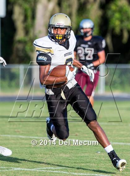 Thumbnail 2 in Mitchell @ Wiregrass Ranch photogallery.