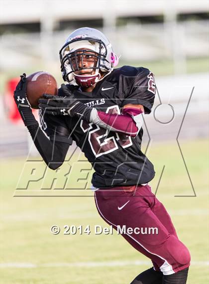 Thumbnail 3 in Mitchell @ Wiregrass Ranch photogallery.