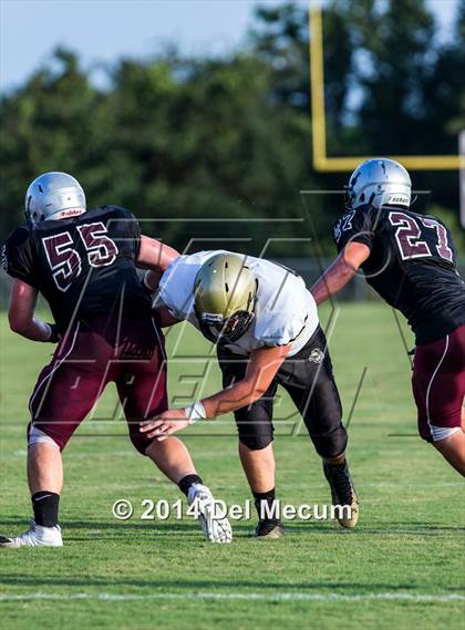 Thumbnail 3 in Mitchell @ Wiregrass Ranch photogallery.