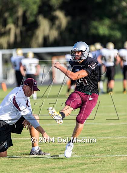 Thumbnail 2 in Mitchell @ Wiregrass Ranch photogallery.