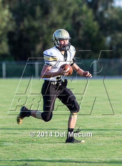 Thumbnail 3 in Mitchell @ Wiregrass Ranch photogallery.