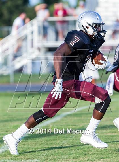 Thumbnail 2 in Mitchell @ Wiregrass Ranch photogallery.