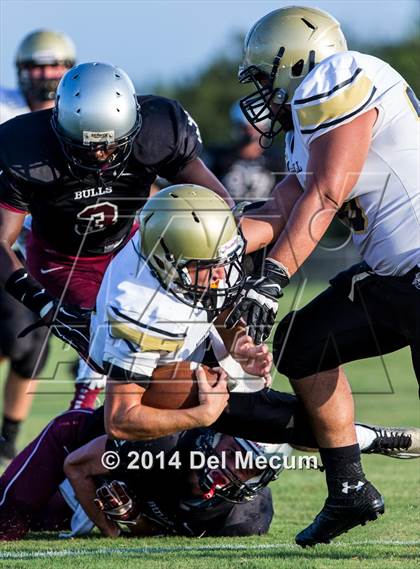 Thumbnail 3 in Mitchell @ Wiregrass Ranch photogallery.