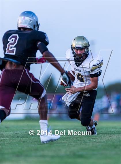 Thumbnail 2 in Mitchell @ Wiregrass Ranch photogallery.