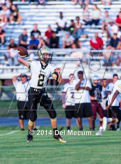 Thumbnail 2 in Mitchell @ Wiregrass Ranch photogallery.