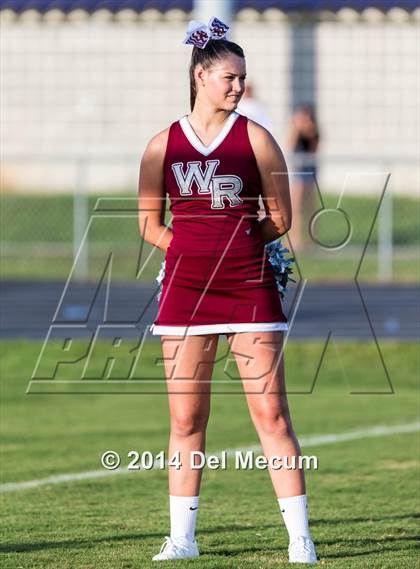 Thumbnail 3 in Mitchell @ Wiregrass Ranch photogallery.