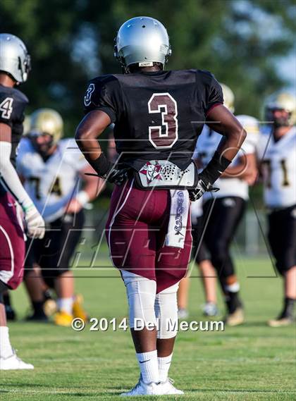 Thumbnail 2 in Mitchell @ Wiregrass Ranch photogallery.