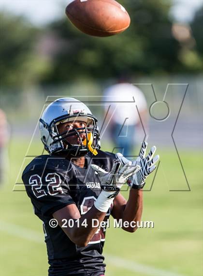 Thumbnail 3 in Mitchell @ Wiregrass Ranch photogallery.