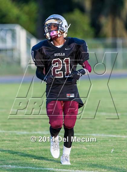 Thumbnail 2 in Mitchell @ Wiregrass Ranch photogallery.