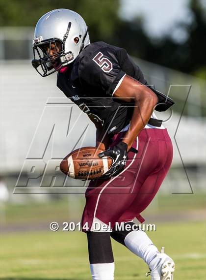 Thumbnail 2 in Mitchell @ Wiregrass Ranch photogallery.