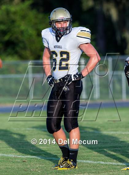 Thumbnail 3 in Mitchell @ Wiregrass Ranch photogallery.