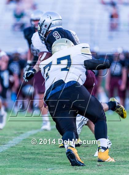 Thumbnail 3 in Mitchell @ Wiregrass Ranch photogallery.