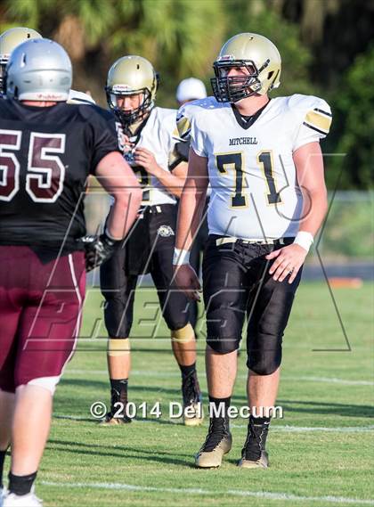 Thumbnail 2 in Mitchell @ Wiregrass Ranch photogallery.