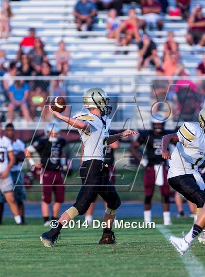Thumbnail 2 in Mitchell @ Wiregrass Ranch photogallery.