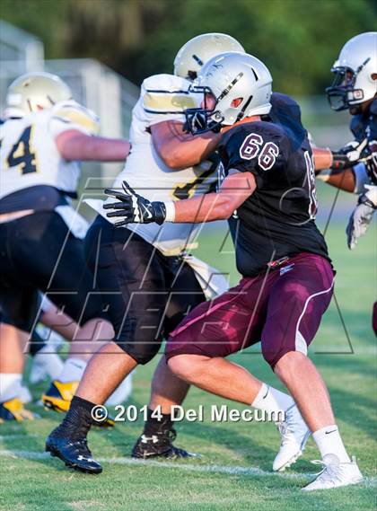 Thumbnail 3 in Mitchell @ Wiregrass Ranch photogallery.