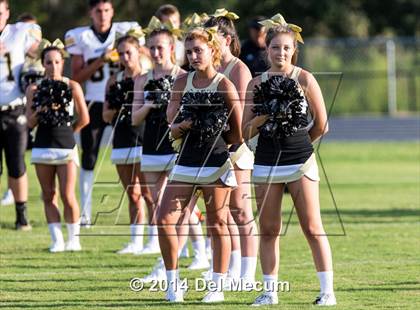 Thumbnail 1 in Mitchell @ Wiregrass Ranch photogallery.