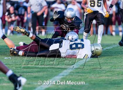 Thumbnail 2 in Mitchell @ Wiregrass Ranch photogallery.