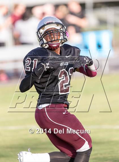 Thumbnail 3 in Mitchell @ Wiregrass Ranch photogallery.