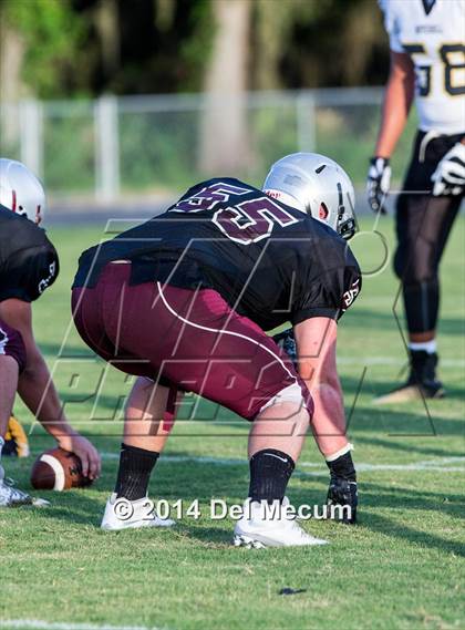 Thumbnail 2 in Mitchell @ Wiregrass Ranch photogallery.