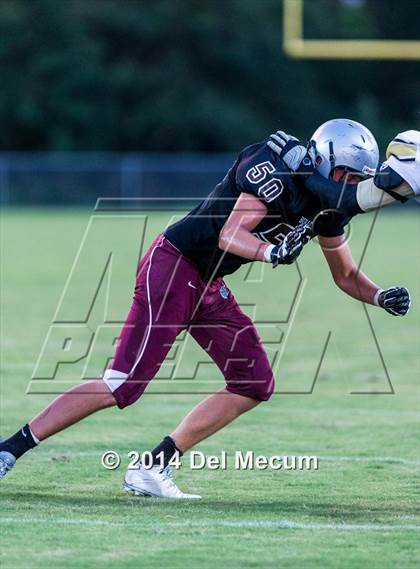 Thumbnail 2 in Mitchell @ Wiregrass Ranch photogallery.
