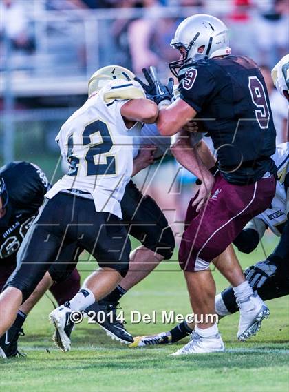 Thumbnail 2 in Mitchell @ Wiregrass Ranch photogallery.