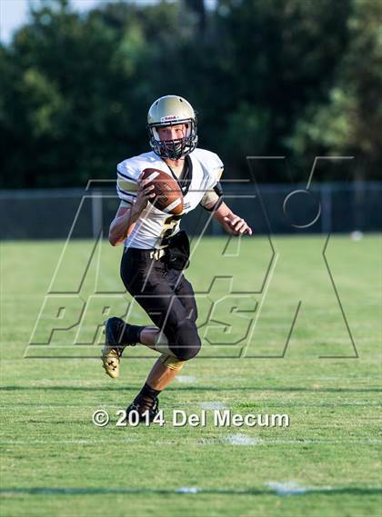 Thumbnail 1 in Mitchell @ Wiregrass Ranch photogallery.