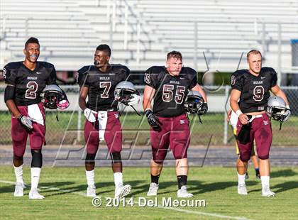 Thumbnail 1 in Mitchell @ Wiregrass Ranch photogallery.