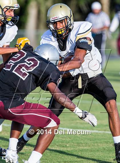 Thumbnail 2 in Mitchell @ Wiregrass Ranch photogallery.