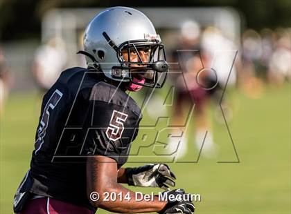 Thumbnail 3 in Mitchell @ Wiregrass Ranch photogallery.