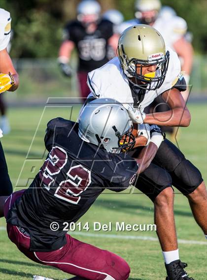 Thumbnail 2 in Mitchell @ Wiregrass Ranch photogallery.