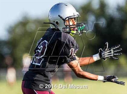 Thumbnail 1 in Mitchell @ Wiregrass Ranch photogallery.