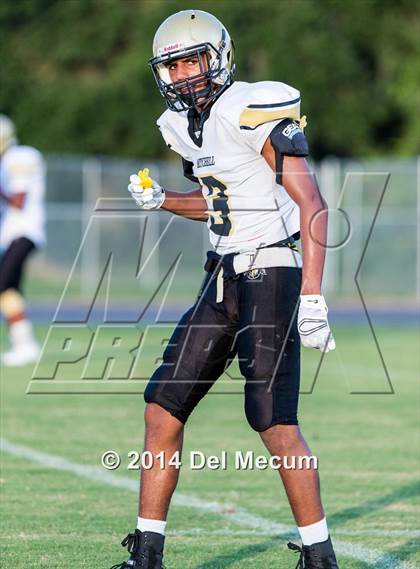 Thumbnail 1 in Mitchell @ Wiregrass Ranch photogallery.