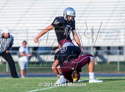 Thumbnail 2 in Mitchell @ Wiregrass Ranch photogallery.