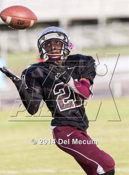 Thumbnail 2 in Mitchell @ Wiregrass Ranch photogallery.
