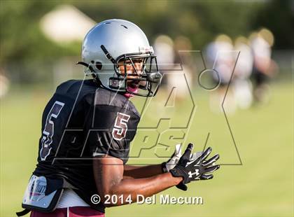 Thumbnail 2 in Mitchell @ Wiregrass Ranch photogallery.