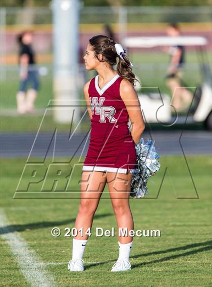 Thumbnail 2 in Mitchell @ Wiregrass Ranch photogallery.