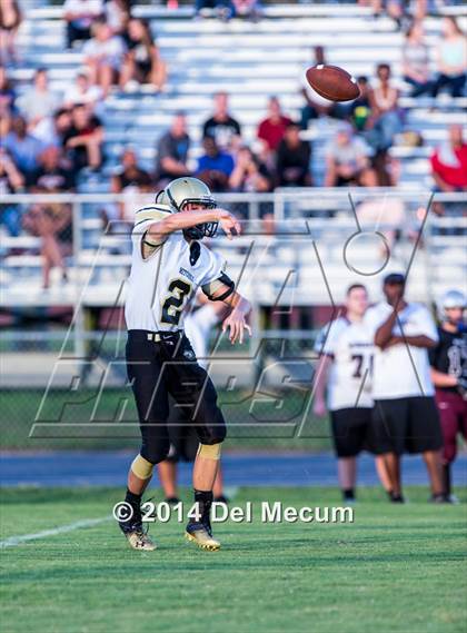 Thumbnail 1 in Mitchell @ Wiregrass Ranch photogallery.