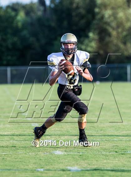 Thumbnail 3 in Mitchell @ Wiregrass Ranch photogallery.