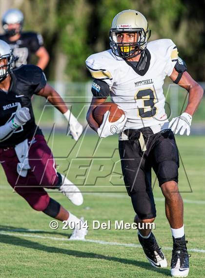 Thumbnail 1 in Mitchell @ Wiregrass Ranch photogallery.