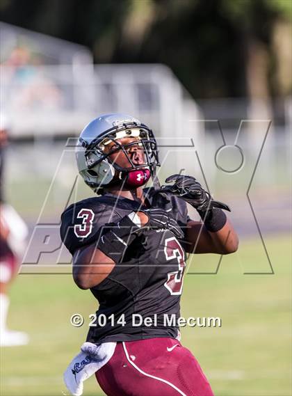 Thumbnail 2 in Mitchell @ Wiregrass Ranch photogallery.
