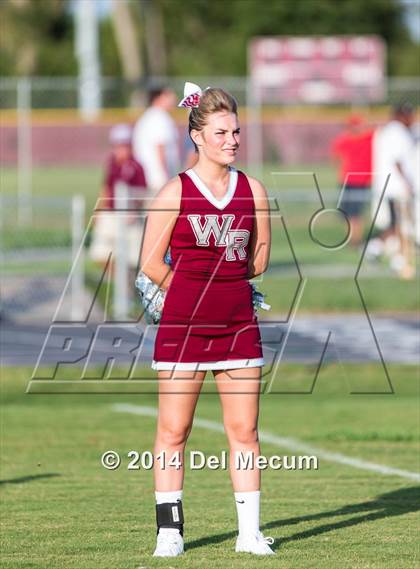 Thumbnail 3 in Mitchell @ Wiregrass Ranch photogallery.