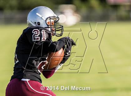 Thumbnail 1 in Mitchell @ Wiregrass Ranch photogallery.