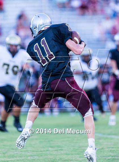 Thumbnail 2 in Mitchell @ Wiregrass Ranch photogallery.