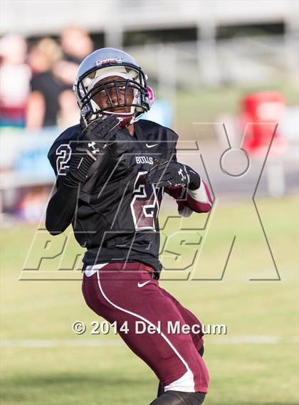 Thumbnail 1 in Mitchell @ Wiregrass Ranch photogallery.