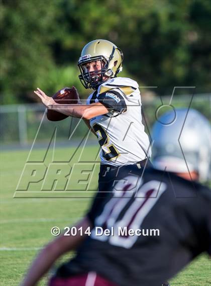 Thumbnail 2 in Mitchell @ Wiregrass Ranch photogallery.