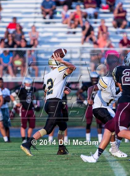 Thumbnail 3 in Mitchell @ Wiregrass Ranch photogallery.