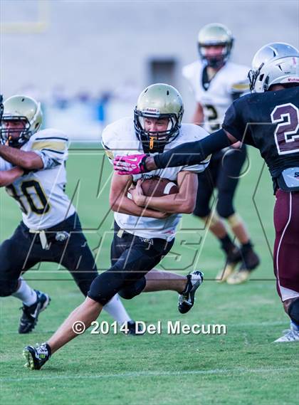 Thumbnail 3 in Mitchell @ Wiregrass Ranch photogallery.