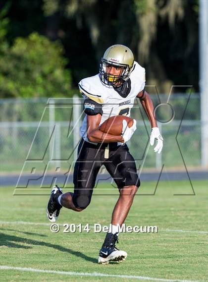 Thumbnail 1 in Mitchell @ Wiregrass Ranch photogallery.