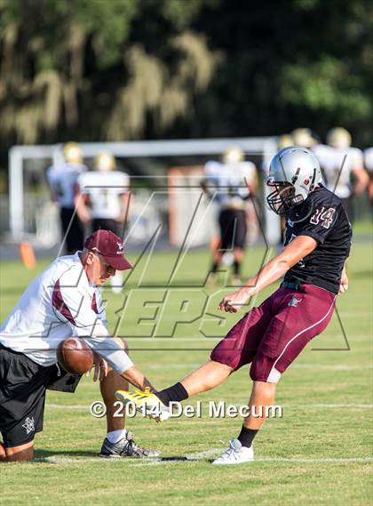 Thumbnail 3 in Mitchell @ Wiregrass Ranch photogallery.